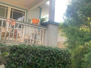 Bush Trimming by Tammy Melendez for Jackie m. in Lakeland, FL