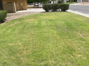 Bush Trimming by Bobby Parris for Curtis S. in Glendale, AZ