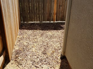 Cleanups by Joshua Muehe for Shonda E. in Sacramento, CA