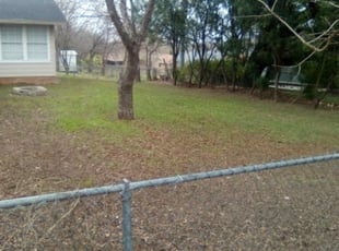 Leaf Removal by Duane Cotton for Grace P. in San Antonio, TX