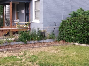 Bush Trimming by Kristopher Hackenberry for Zach S. in Denver, CO
