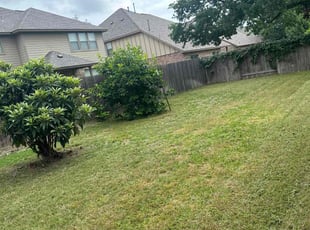 Leaf Removal by Antonio (Tony) Moreno Enriquez for Barry L. in Round Rock, TX