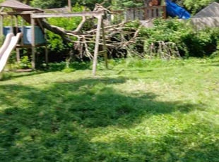Leaf Removal by Seth D for Dominique J. in Mission, KS