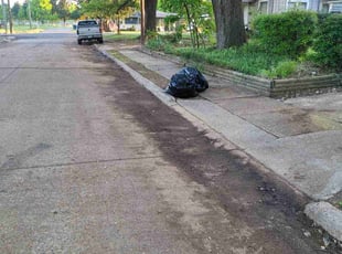 Leaf Removal by Brandon Plater for PAMELA J. in Bossier City, LA
