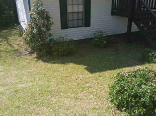 Bush Trimming by Joshua Walker for Kesha J. in Snellville, GA
