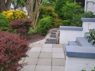 Cleanups by Chris Stewart for Candice T. in Washington, DC