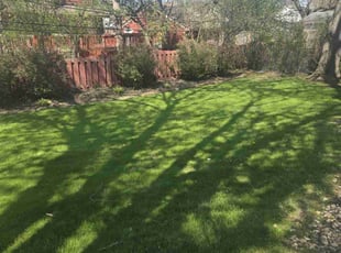 Travis J.'s Lawn Service service result