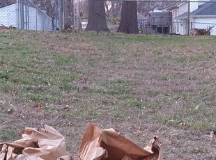 Leaf Removal by Steve Flint for Christian M. in Kansas City, MO