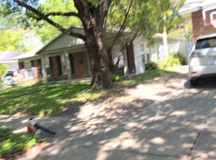 Cleanups by Rupert Mclendon for Carla W. in Tampa, FL
