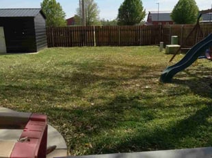 Leaf Removal by Phoeun Phal for Lisa H. in Wichita, KS