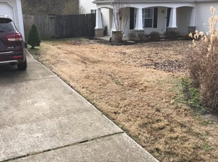 Leaf Removal by Troy Smith for Mike M. in Hendersonville, TN