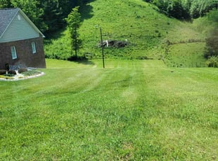 Cory C.'s Lawn Service service result