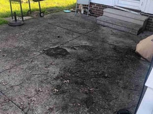 Fredrick P.'s Cleanups service result