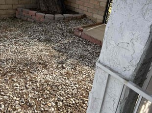 Leaf Removal by Dom Deocares for Linnea P. in Las Vegas, NV