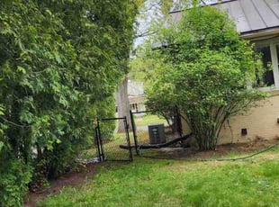 Bush Trimming by Joshua Nunez for Osazee O. in Longmeadow, MA