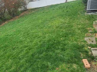 Leaf Removal by Rose Valle for Monica N. in Fairfax, VA