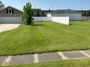steve w.'s Lawn Mowing Service service result