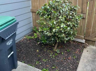 Bush Trimming by Kenneth Pope for Bryan R. in Acworth, GA