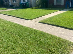 Carrie P.'s Grass Cutting service result