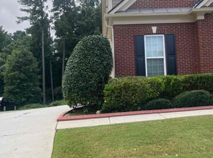 Bush Trimming by Jovon Braddy for William C. in Atlanta, GA