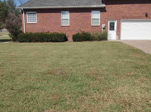 Barry B.'s Lawn Maintenance service result