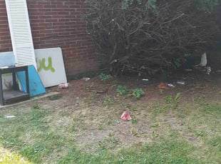Derek P.'s Bush Trimming service result
