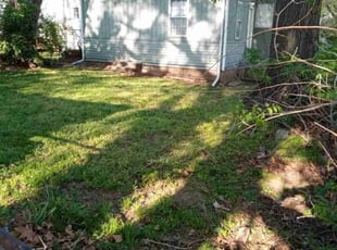 Cleanups by Desmond Standifer for Lauren W. in Kansas City, MO