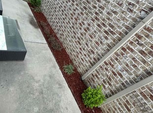 Mulching by Julian Sanchez for Christina M. in Irving, TX