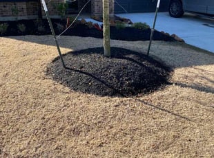 Weeding by Domingo Rosas for E.L. C. in Cypress, TX