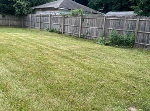 Kayla S.'s Grass Cutting service result