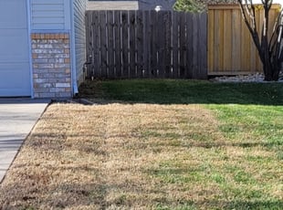 Leaf Removal by Jacob Lea for Kenneth B. in Wichita, KS