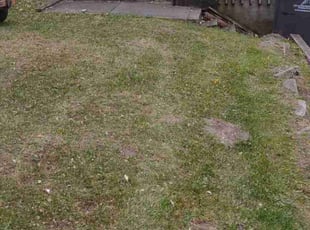 Cleanups by Shonna Wilkinson for Eugene A. in Des Moines, IA