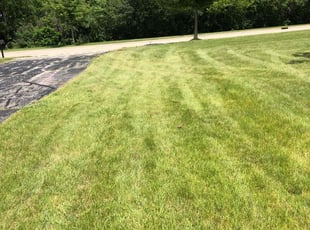 Brittany C.'s Yard Cutting service result