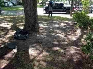 Leaf Removal by James Hewitt for Chelsey J. in Brandon, FL