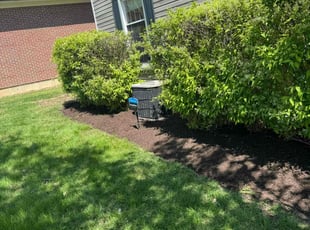 Cleanups by Brooke Ardoin for Nicholas T. in Downers Grove, IL