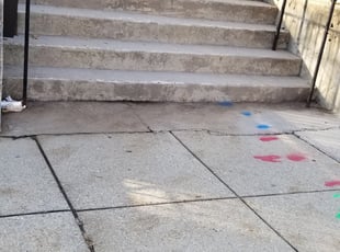 Leaf Removal by James A. Saulsbury for Melissa H. in Washington, DC