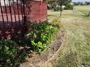 Bush Trimming by Brooke Ardoin for Sid K. in Naperville, IL