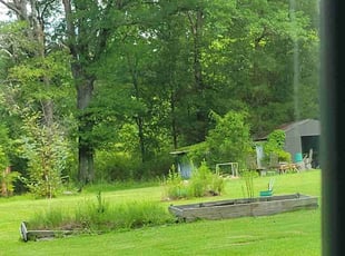 Julian G.'s Lawn Service service result