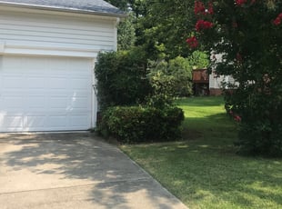 Bush Trimming by Kevin Dimas for Yaun W. in Chapel Hill, NC