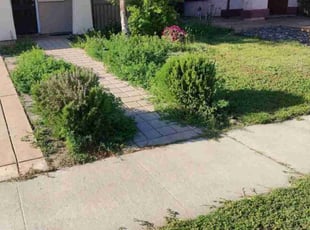 Cleanups by Matt Tessmann for Gurkirat S. in Lincoln, CA