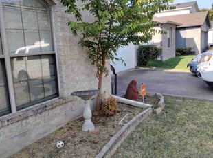 Bush Trimming by Hussein Kamel for Sheryl L. in Pflugerville, TX