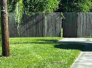 Svetlana A.'s Lawn Service service result