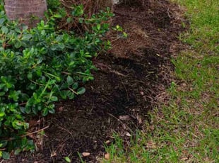 Bush Trimming by Thomas Farley for Ina R. in Sarasota, FL