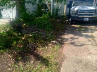 Leaf Removal by Sean Saulsby for Elektra S. in Newport News, VA