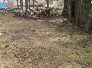 Leaf Removal by Carol Hughes for Chris W. in Shrewsbury, MA