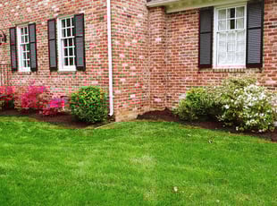 Cleanups by Chris Thomas for Brian M. in Richmond, VA