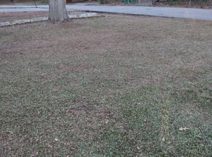 Leaf Removal by Andrew Hudson for Yonika G. in Forest Park, GA