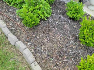 Weeding by Deanna Guillen for Richard H. in Crandall, TX