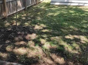 Leaf Removal by Allan Roberts for Justin C. in Washington, DC