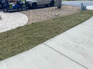 Teressa H.'s Lawn Care service result